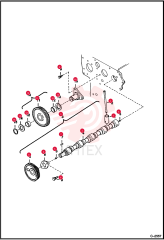 TAPPET 7015269 (1)