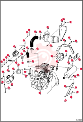 BOLT 17C516