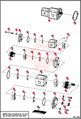 PUMP, GEAR DOUBLE 6665552 (2)