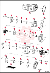 PUMP, GEAR DOUBLE 6673913 (1)
