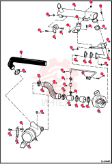 CLAMP 6673963