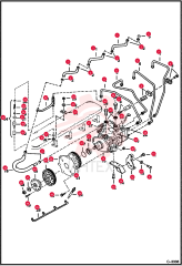 HOSE 6631822