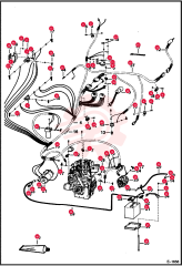 NUT 5 85D4 (2)