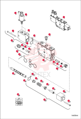 SECTION, VALVE 7022952 (1)