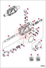 SECTION, VALVE 7012692
