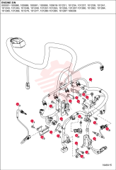 HARNESS 7286765
