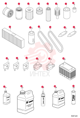 FILTER, ENGINE OIL 7025590 (3)