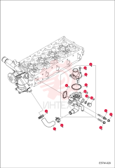 HOSE, WATER 7030881