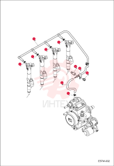 CLAMP, HOSE 7030310