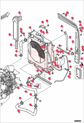 HOSE RADIATOR 7024747