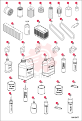 FILTER, ENGINE OIL 7025590 (4)