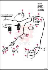 IGN COIL 2503976 (2)