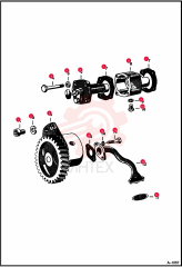 SCREW 1GM612