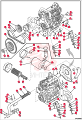 NUT 000345-96E (1)