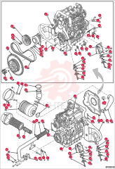 NUT 000345-96E (2)