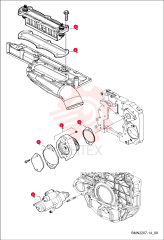 GASKET 7019379