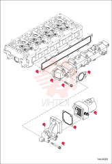 GASKET, INTAKE MANIFOLD 7030338 (2)