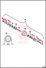 NUT 1DM24 (2)