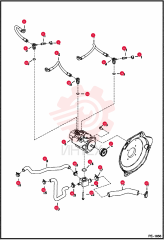 CAP 6630367 (1)