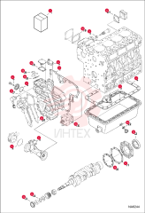 KIT, GASKET ENG LOWER 7012338 (3)