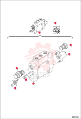 VALVE SECTION 7000525 (5)