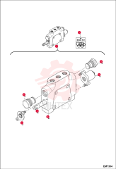 VALVE SECTION 7000534 (1)