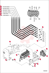 NUT FLANGED HEX 43DM10 (2)