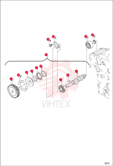CAMSHAFT, FUEL 7259294 (2)