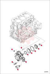 NUT 7030370