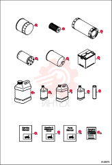 FILTER OIL 6696286 (3)
