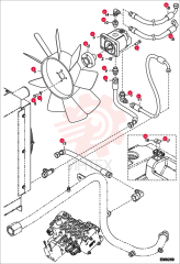 Screw 01598.2 (4)