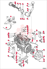 NUT 000345-96E (5)