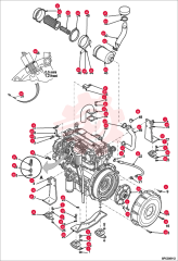 NUT 000345-96E (3)