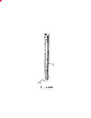 IH FERTILIZER UNIT TUBE,1.437" ID x 1.875" OD x 24" L