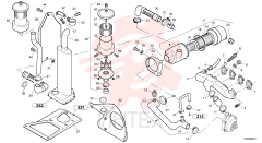 Прокладка ZM 2903605 (3)