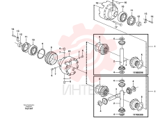 Differential pinion set