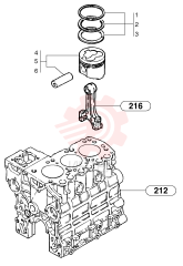 Piston rings (kit)
