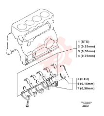 Bearings (kit)