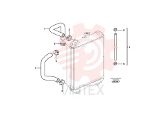 Radiator hose