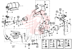 Ferrule