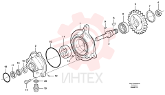 Oil drain pump