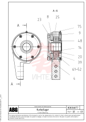 Guide Ring RM 80830607 (4)