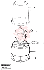 Bulb