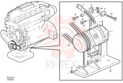 Flange nut