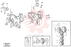 Flange screw