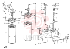 Flange screw