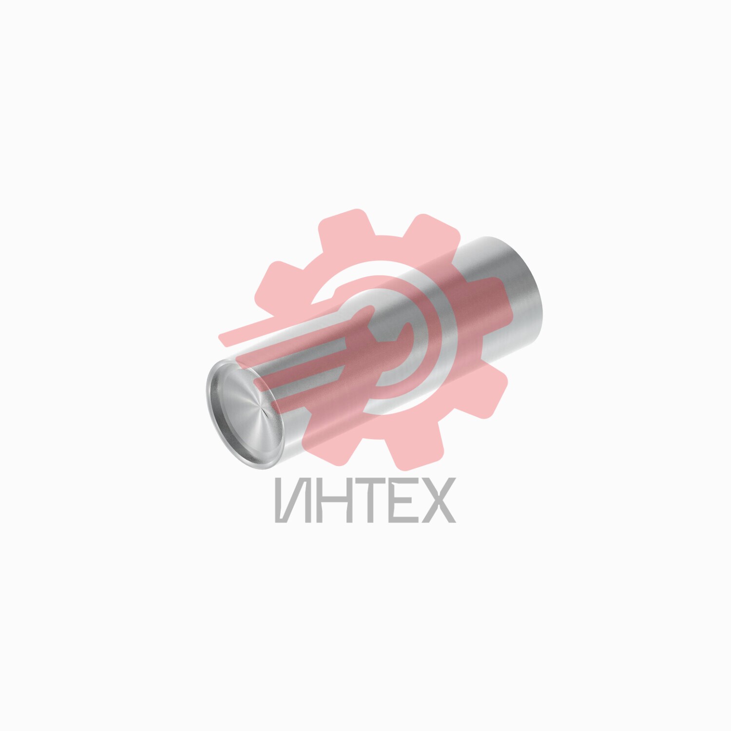 Gear Pin 518-1973 / 5181973