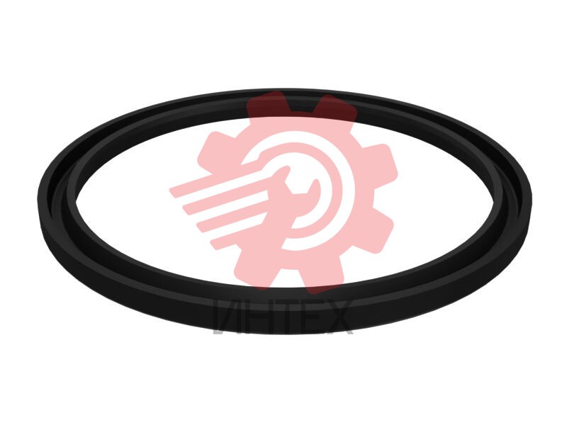 SEAL-LIP TYP 525-5506 / 5255506