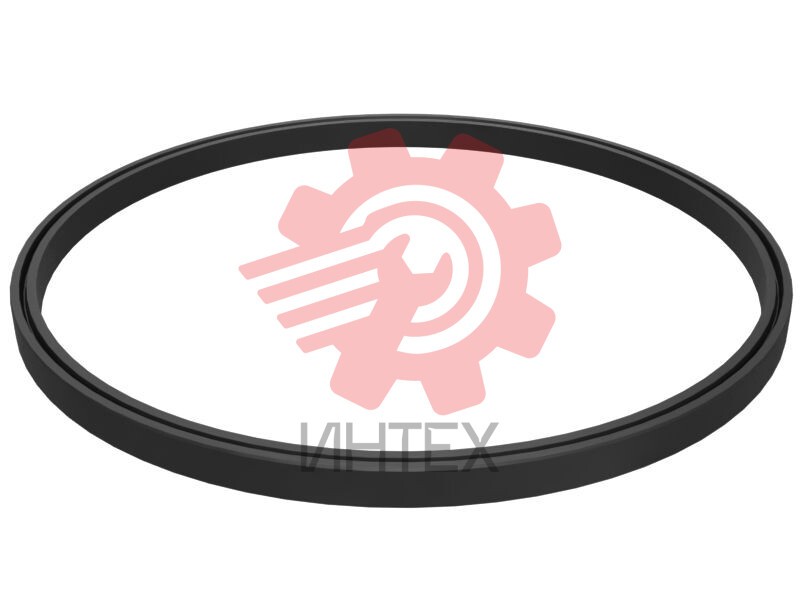 SEAL AS-ROD 555-6519 / 5556519