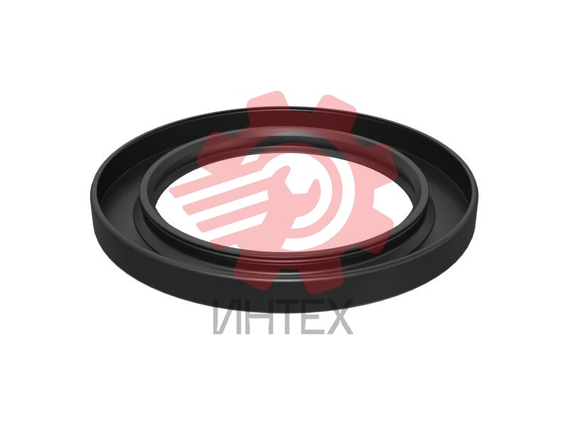 SEAL-LIP TYP 625-3171 / 6253171